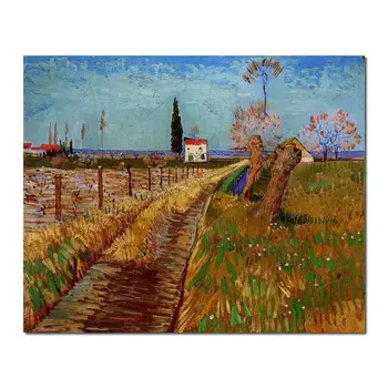 Холст с ручной росписью Винсента Ван Гога, тропинка через поле с ивами, пейзаж, настенная картина, художественное оформление