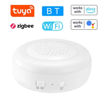 Профессиональные шлюзы сигнализации 2.4GWIFI Zig bee 3.0BLE и вспомогательные устройства Beacon, Многорежимный шлюз, Совместимый с Google Home